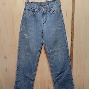 Carhartt Men's Straight Blue Jeans